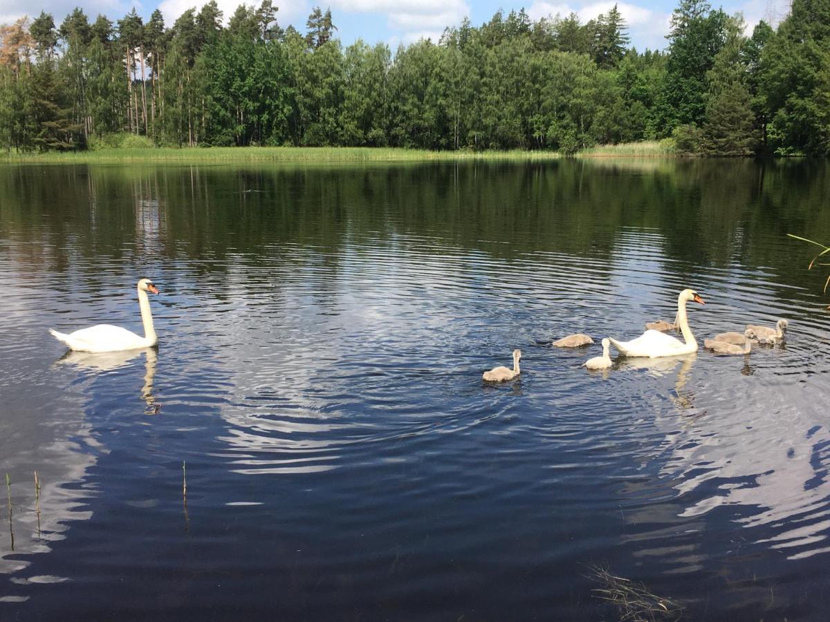 Apartmány U Pařezáče Humpolec Esterno foto
